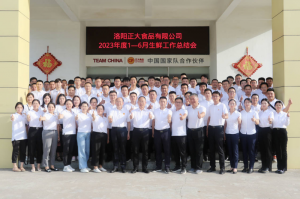 總結過去，計劃未來，協同創新(xīn)，再創佳績！洛陽正大舉行2023年上半年工(gōng)作(zuò)總結會議