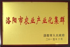 洛陽市農業産(chǎn)業化集群